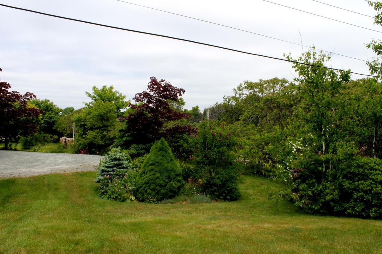 Mackenzie House B&B By Elevate Rooms Port Hawkesbury Extérieur photo